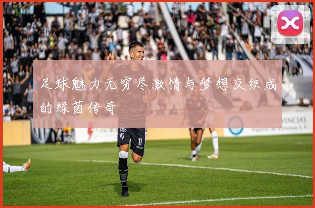 足球魅力无穷尽激情与梦想交织成的绿茵传奇